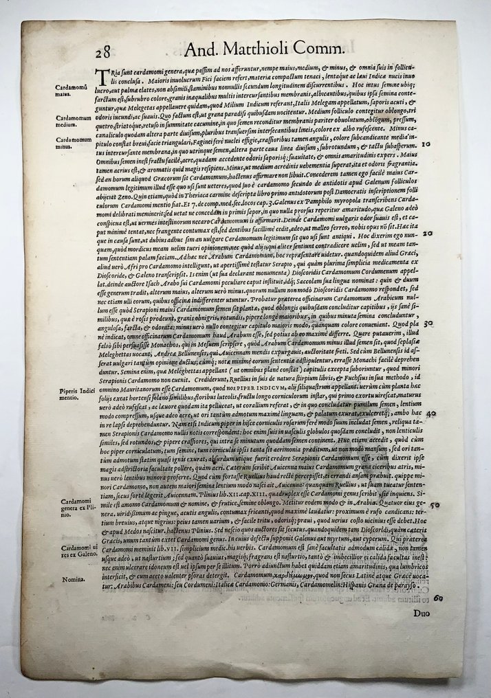 2 Large folios - Giorgio Liberale; W. Meyerpeck - Botany: Cardamom, Nardus Indica - 1565 #4.3