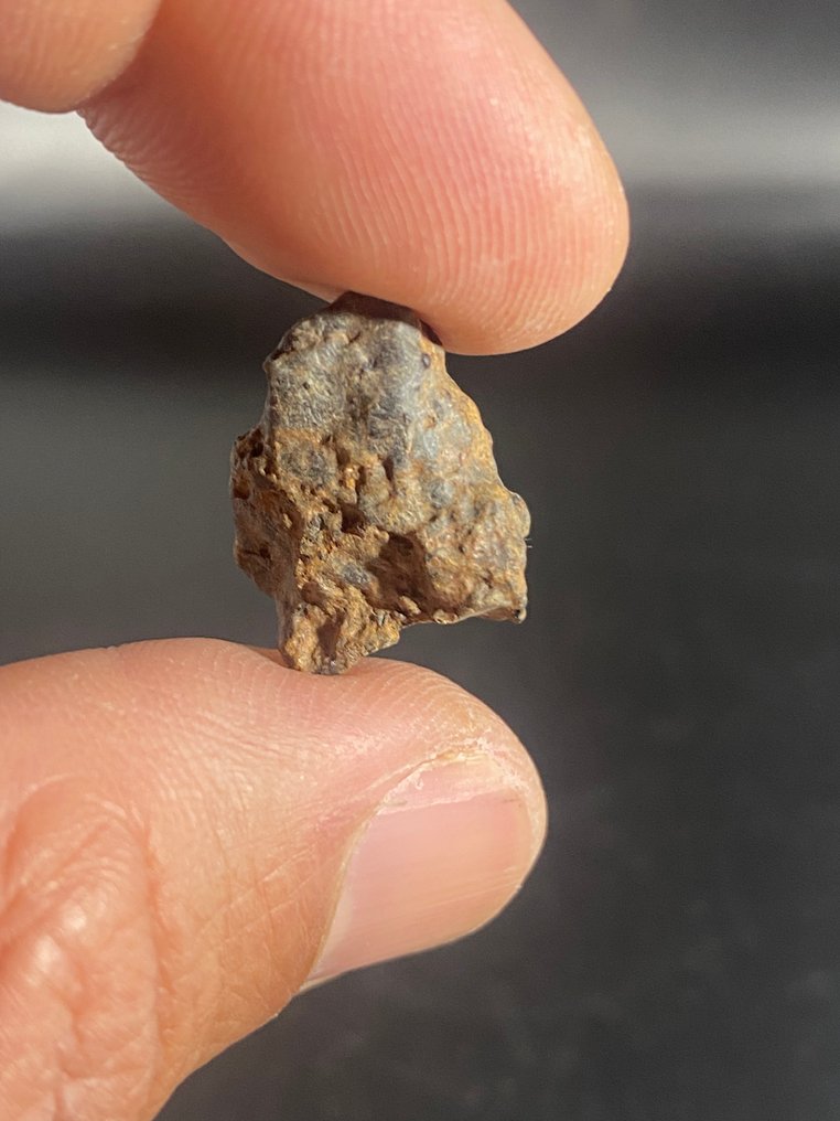 Diogenite Dekkaliat 无保留价！ - 7.6 g - (2) #2.1