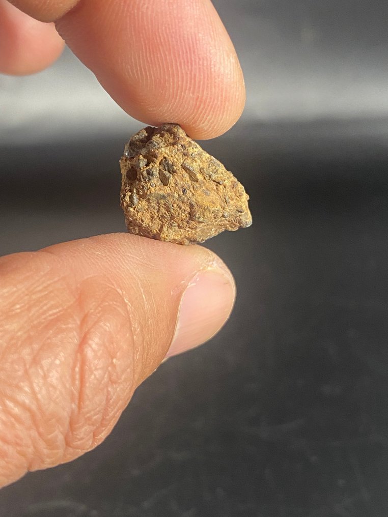 Diogenite Dekkaliat 无保留价！ - 7.6 g - (2) #1.0