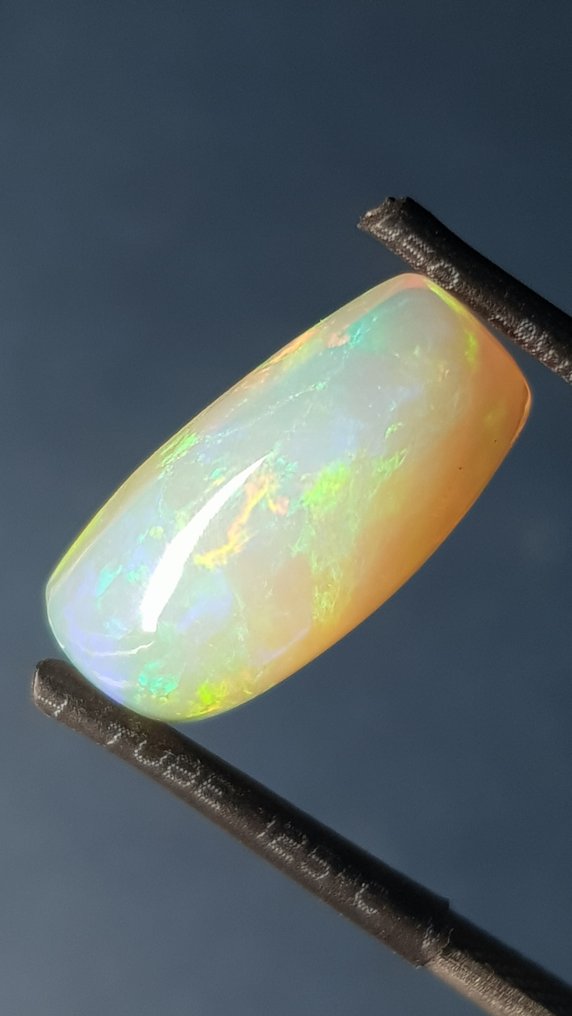 No reserve price - 1 pcs Orange, Multicolour Opal - 4.09 ct - Antwerp Laboratory for Gemstone Testing (ALGT) - Fine Color Quality #1.0