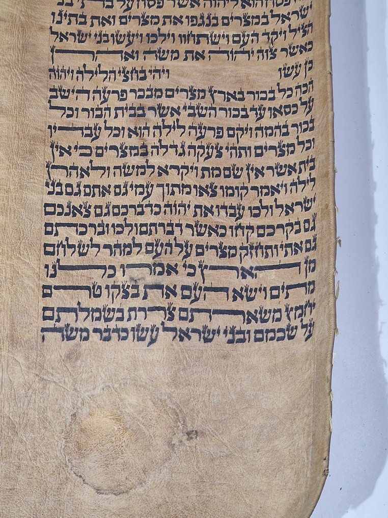 antique Torah scroll, a handwritten on leather - 1800 #3.2