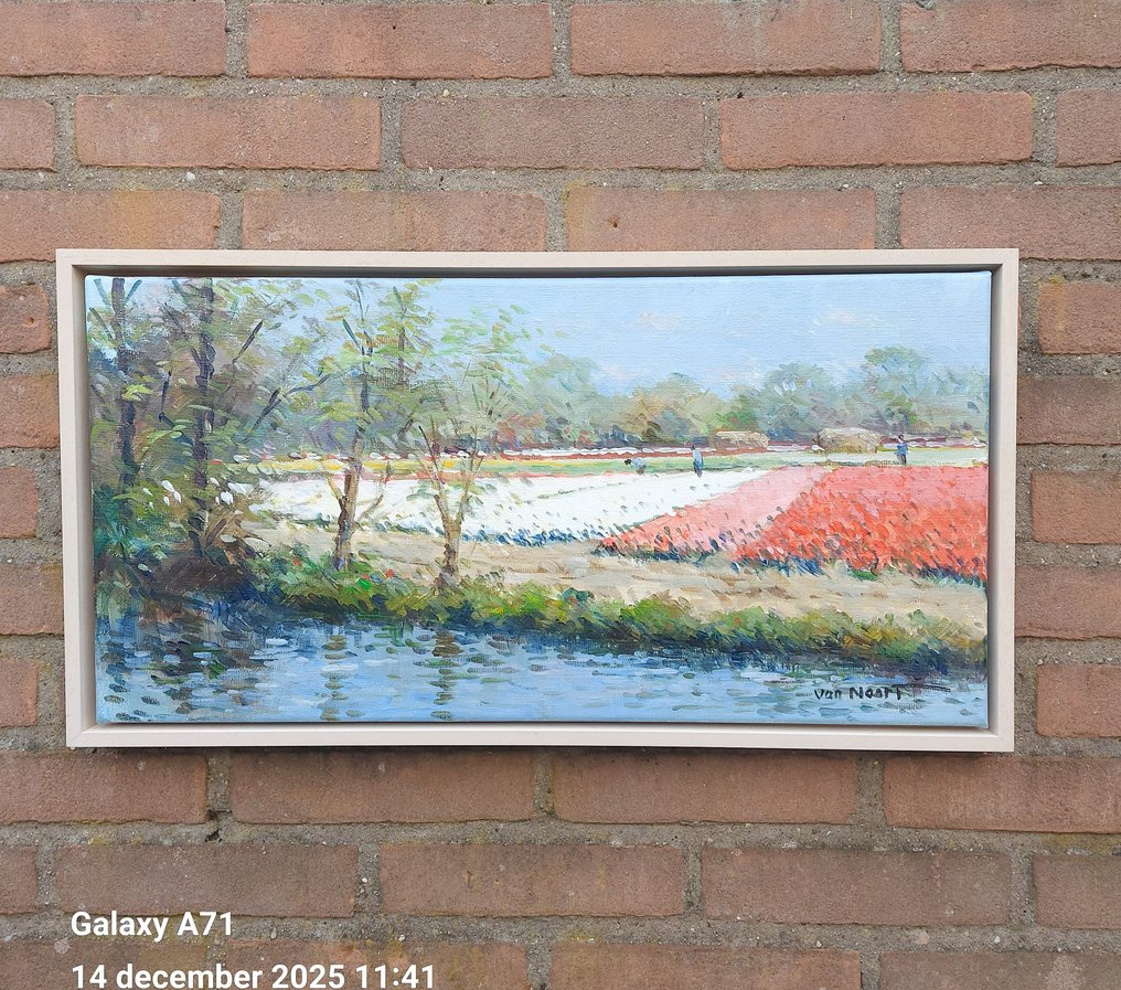 Van Noort (XX-XXI) - Kleurig bollenveld te Heemstede #1.0