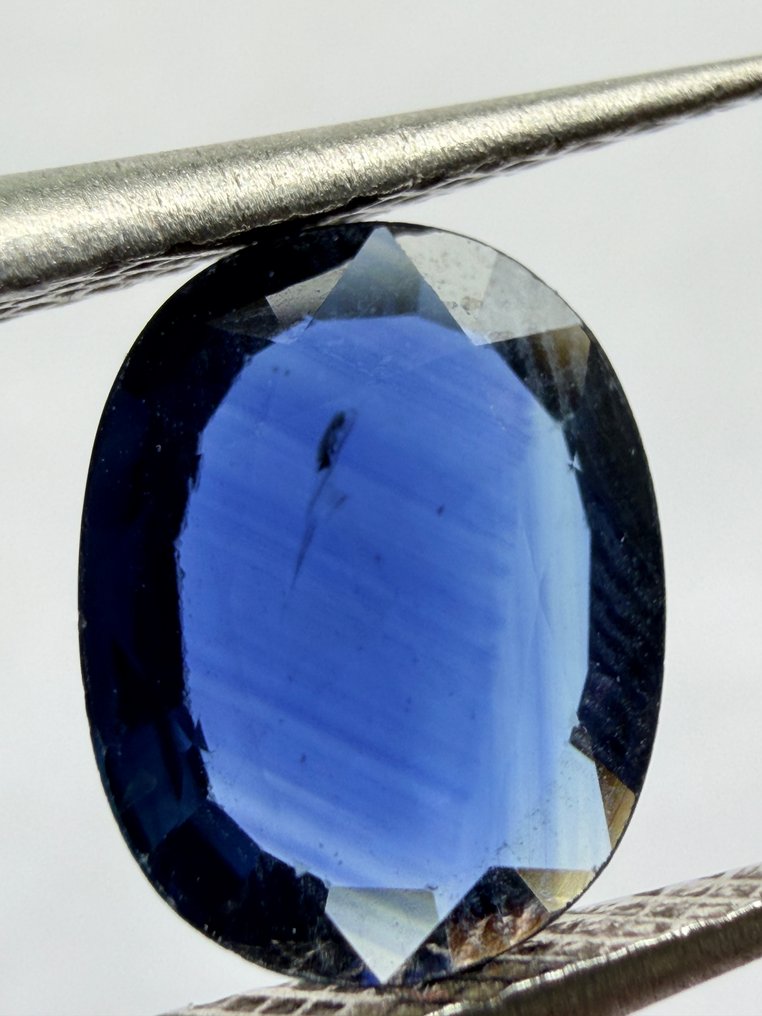 Sans prix de réserve Bleu Saphir  - 1.51 ct - Antwerp Laboratory for Gemstone Testing (ALGT) - Aucun traitement #1.0