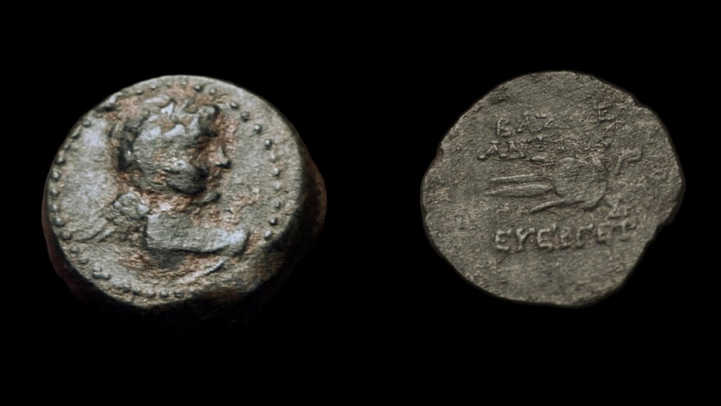 Grækenland (gamle) Lot comprising 2 Æ Coins Ptolemy IX to Ptolemy XII & Antiochos VII Euergetes  (Ingen mindstepris) #2.1