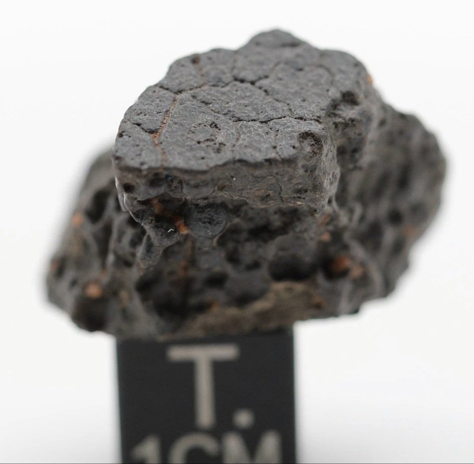 NWA 17750 CK4 碳质陨石 碳质球粒狀隕石陨石 - 7.7 g - (1) #2.1