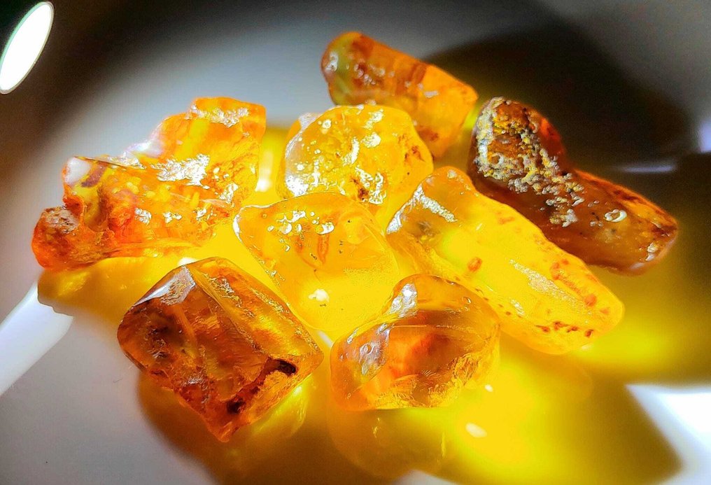 Dominicaanse amber!! AAA kwaliteit - 405 ct- 81 g #1.0