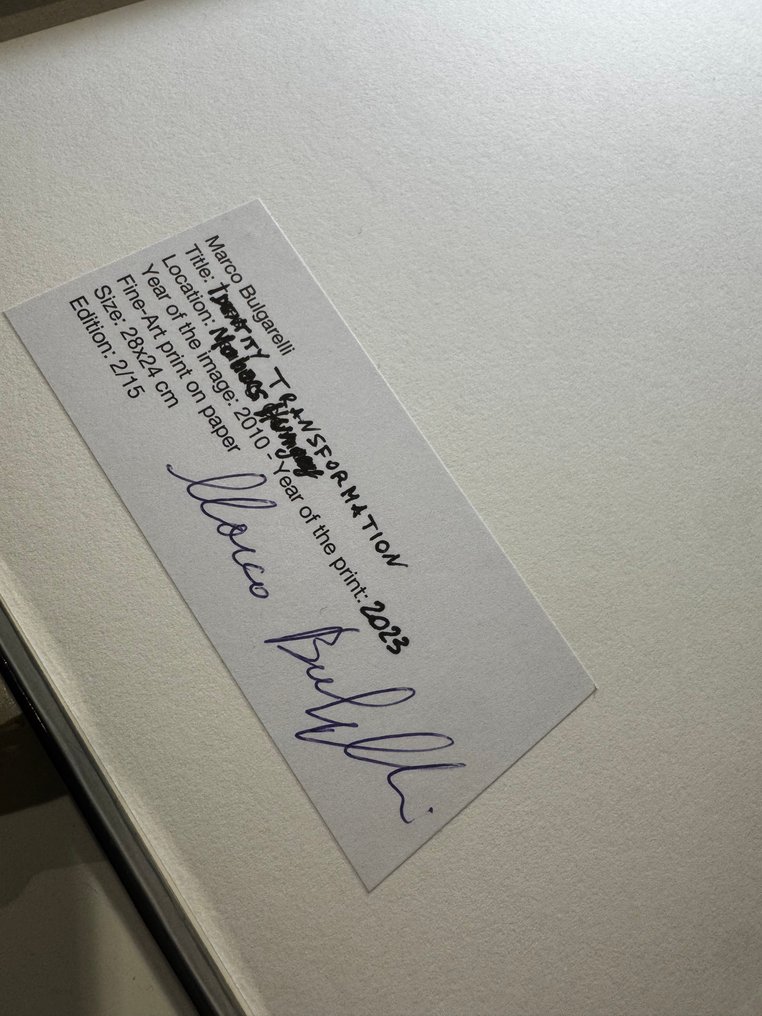 Marco Bulgarelli (Italy, 1973) - Identity Trasnformation by Marco Bulgarelli - ed.2/15 + Image in Progress 6 - 2010-2023 #1.0