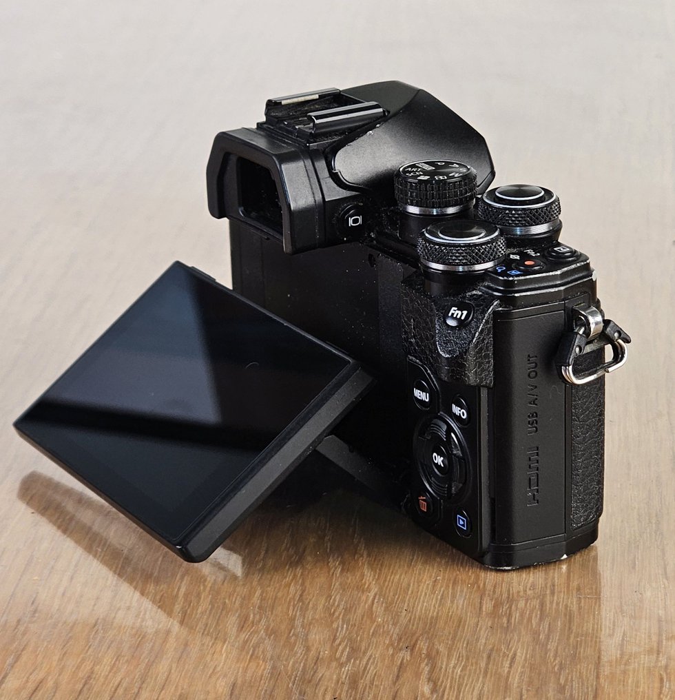 Olympus E-M10 Mark II Body – Compact, Powerful, and Travel-Ready – 5-Axis IBIS Digital camera #2.1