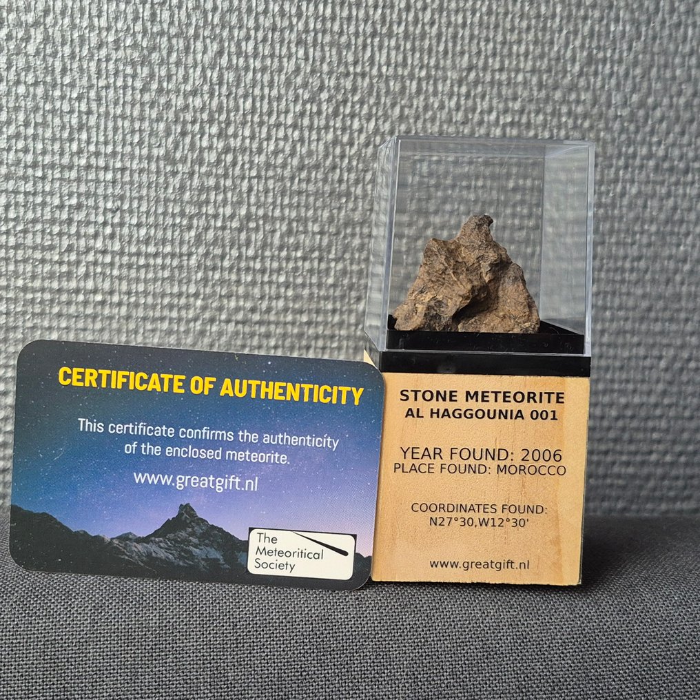 Al Haggounia 001-meteorit - Chrondiet meteoriten - På standard - Höjd: 40 mm - Bredd: 35 mm - 29.91 g - (1) #2.1