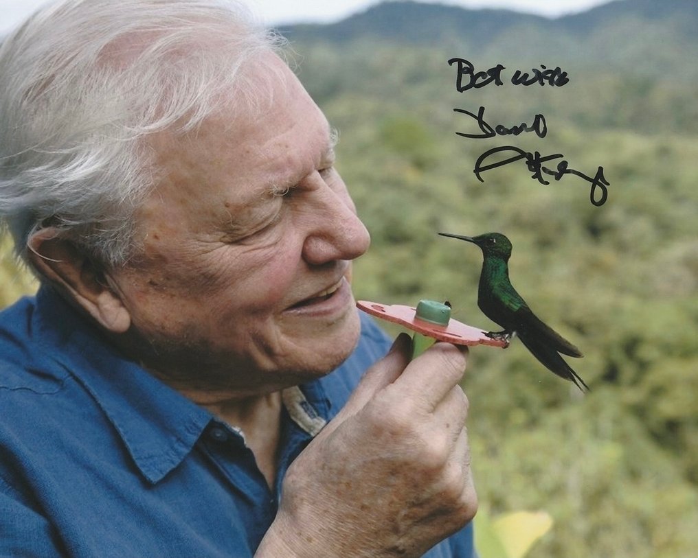 TV and Documentary Legend - Signed by Sir David Attenborough #1.0