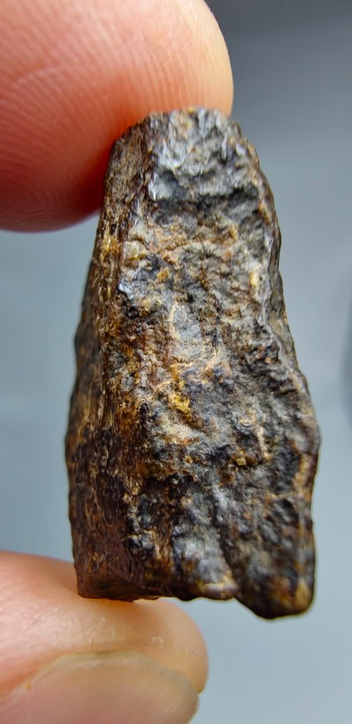 洛德拉石陨石。NWA 17904。 这块陨石是一种退火碎屑岩。 - 5.5 g #3.2