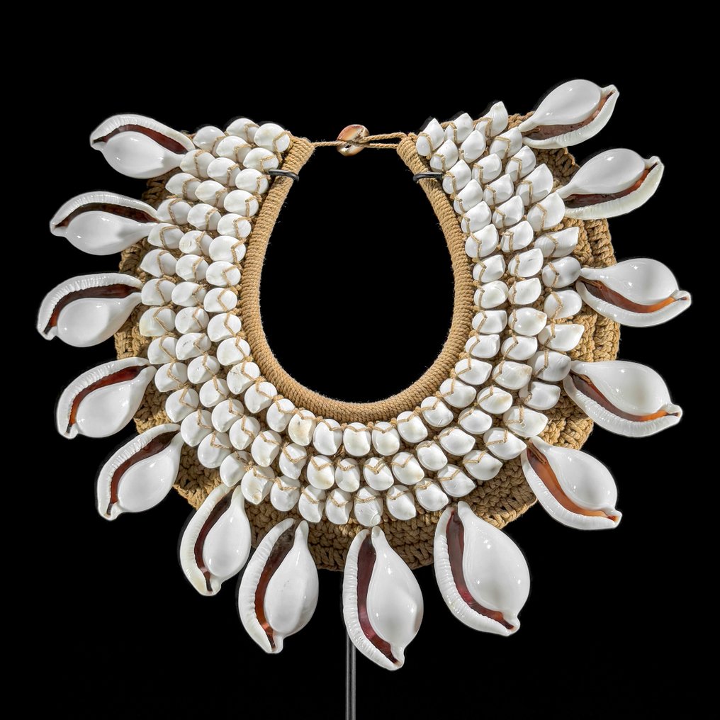 Ornement décoratif - NO RESERVE PRICE - SN1 - Stunning Decorative Shell ...