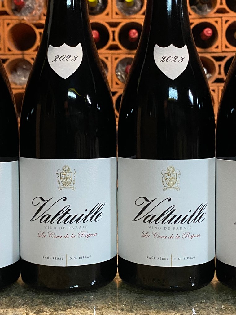2023 Raúl Pérez Castro Ventosa Collection 2023  Godello & Mencía 6 Bottles - Bierzo Vino de Paraje - 6 Bottle (0.75L) #2.1