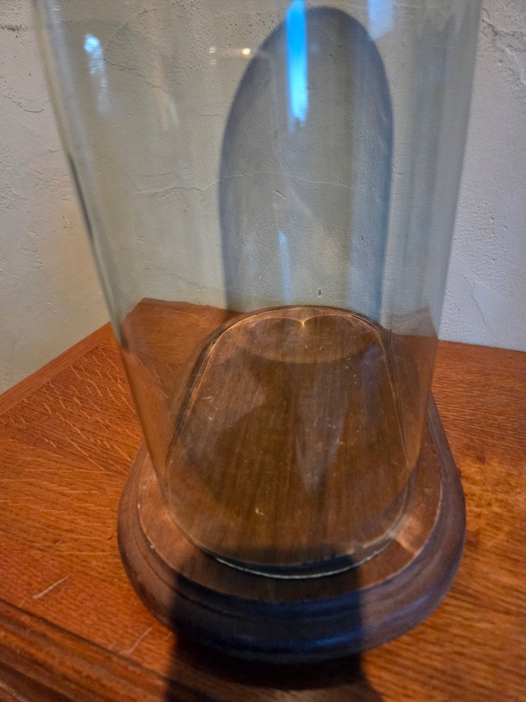 Globe - !!! - GLAZEN STOLP - 1951-1960 - Beautiful oval glass lantern in good condition, 26cm wide, 14cm deep, and 34cm high without the #4.3