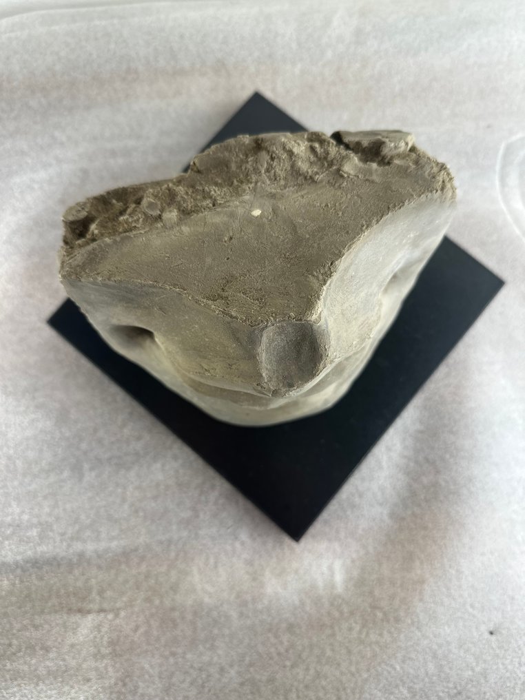 Buste, “La Bocca” - 12 cm - Ler #2.1