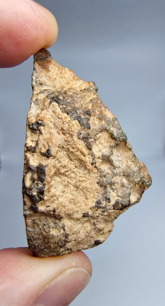 Meteorite Howardite HED, Bechar 008. Brak ceny minimalnej. - 37.41 g #4.3