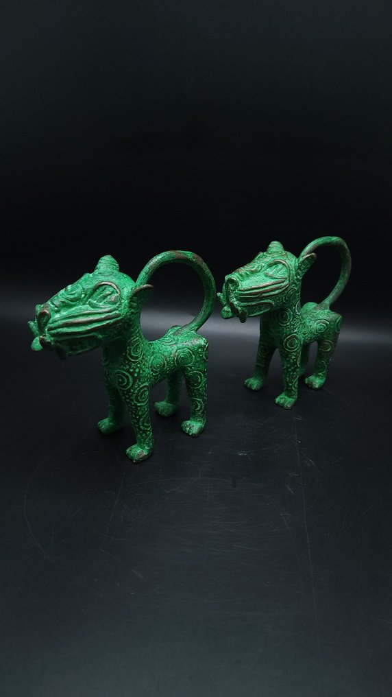 Szuper pár royal leopard - bini/edo - Nigéria  (Nincs minimálár) #2.1