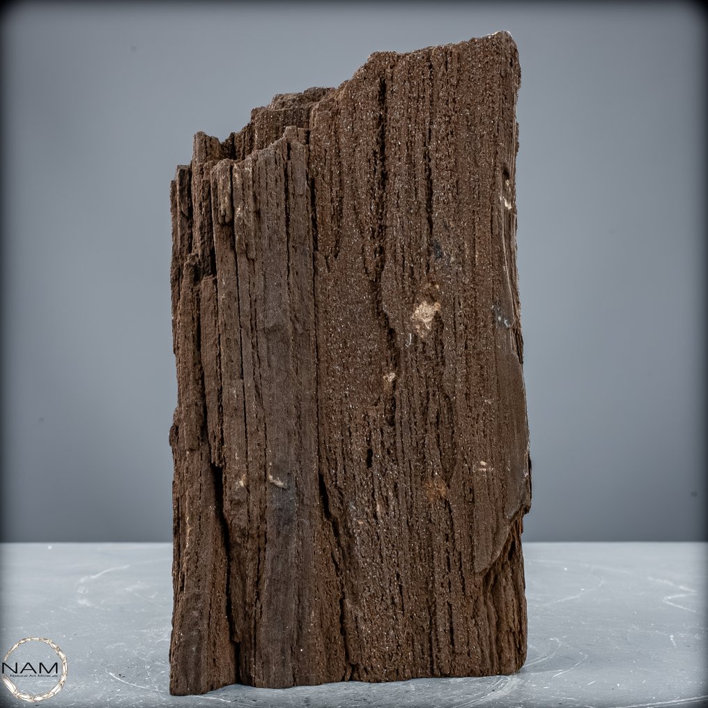 Natural fairy wood with crystalized petrified wood from Australia An ancient natural wonder full of magic and history- 1357.26 g #1.0