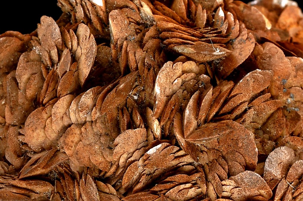 High quality deep brown Siderite from the classical Italian Brosso Mine - Height: 11.3 cm - Width: 7.1 cm- 652 g #1.0