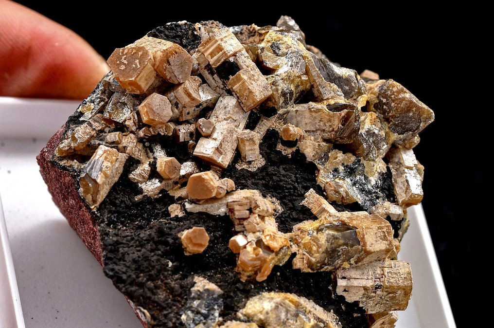 高品质稀有的Endlichite或含砷的钒铅矿 来自摩洛哥 - 高度: 6.8 cm - 闊度: 5.2 cm- 160 g #4.3