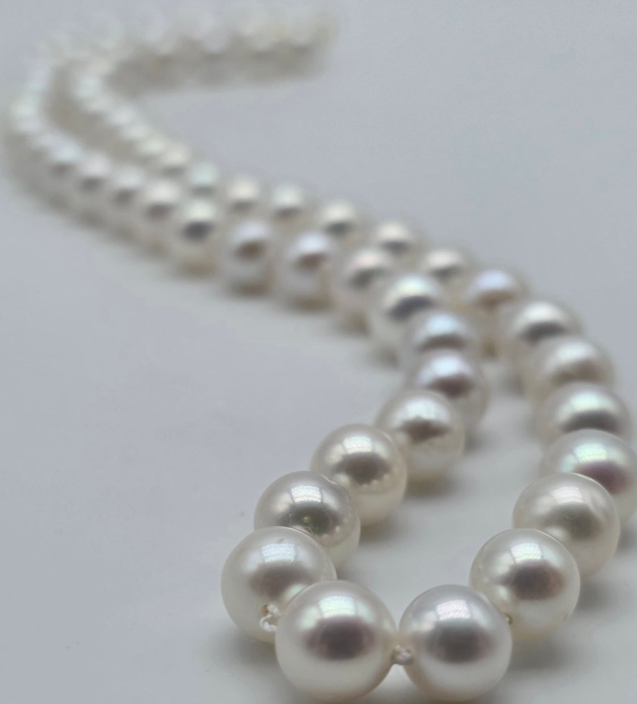 没有保留价 - 项链 - 18K包金 黄金 珍珠 - 6.1 至 6.4 的阿科雅珍珠 #1.0