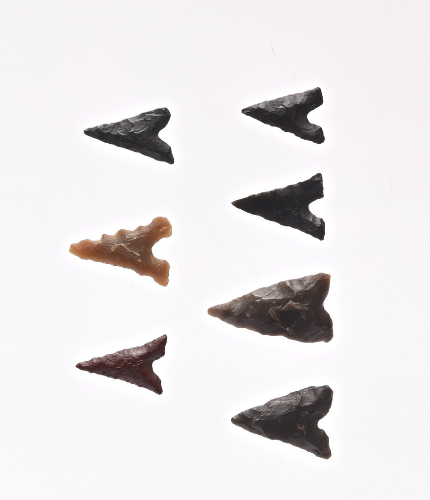 7个新石器时代的箭头 燧石 箭頭  (沒有保留價) #1.0