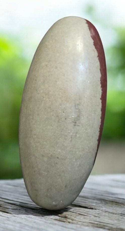 Shiva Lingam ωοειδές - Ύψος: 168 mm - Πλάτος: 75 mm- 1372 g #1.0