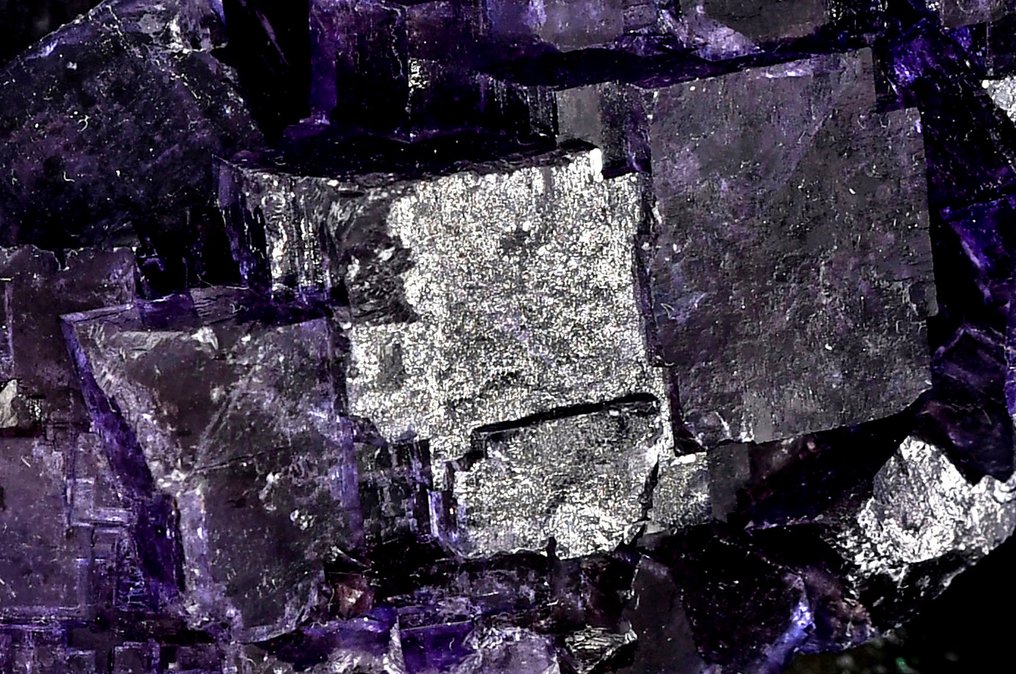 Wonderful deep purple cubic Fluorite from Muzquiz - Mexico - Height: 7.8 cm - Width: 7.4 cm- 300 g #1.0