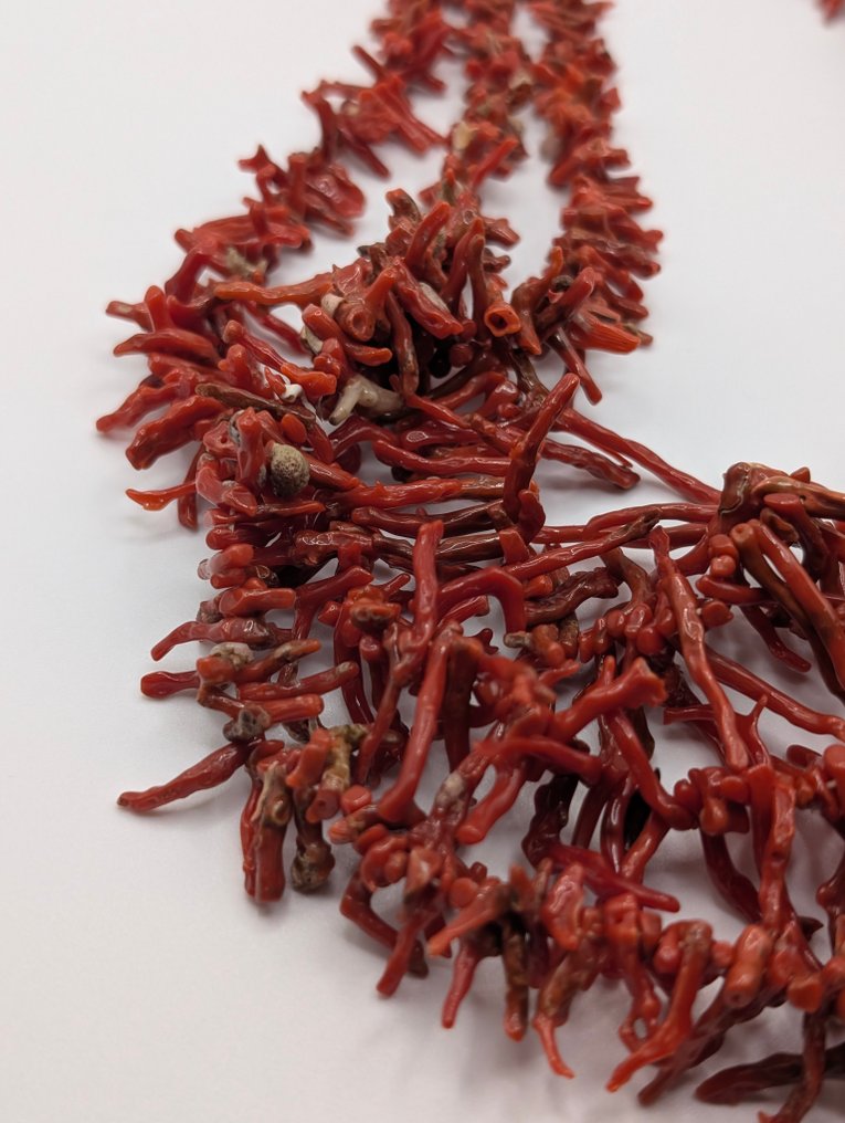 Κοράλλι αίματος - χωρίς κλείσιμο - Κολιέ #1.0