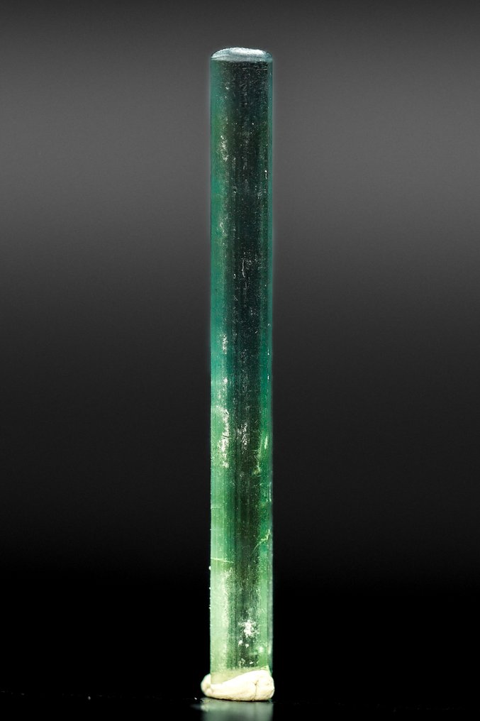 Λεπτός κάθετος, κρύσταλλος τουρμαλίνης Indicolite. Αστρονομική Ανεξέλιξη με Αναδυόμενες Σκούρες Εσωτερικές Στήλες - Ύψος: 31 mm - Πλάτος: 4 mm- 0.56 g - (1) #4.3