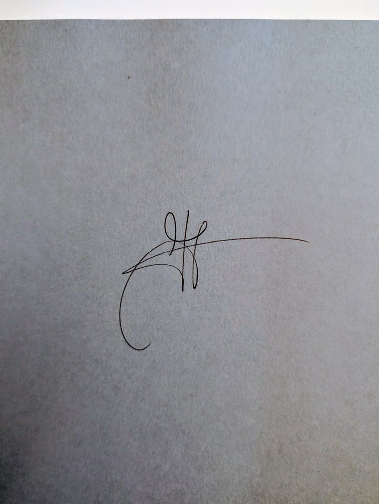 Jan Banning - Law & Order + The Sweating Subject - 2015-2018 #2.1