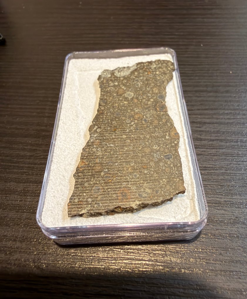 Nagjir 001 - meteorite carbonaceous chondrite (CV3) - 5 g #3.2