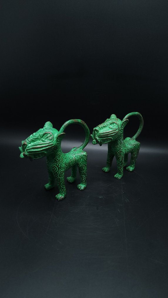 Szuper pár royal leopard - bini/edo - Nigéria  (Nincs minimálár) #3.2