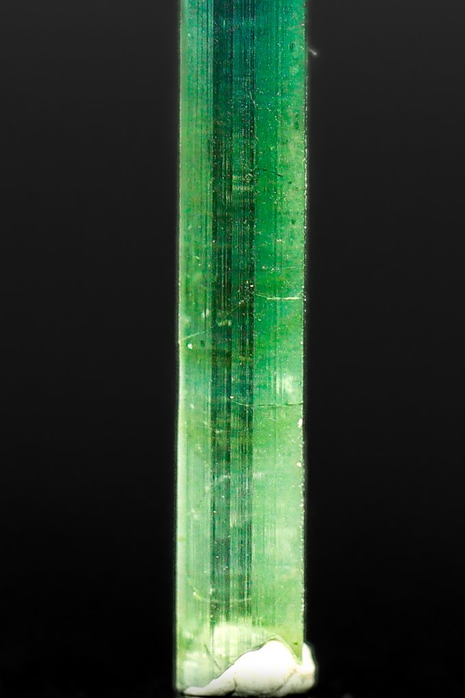 Λεπτός κάθετος, κρύσταλλος τουρμαλίνης Indicolite. Αστρονομική Ανεξέλιξη με Αναδυόμενες Σκούρες Εσωτερικές Στήλες - Ύψος: 31 mm - Πλάτος: 4 mm- 0.56 g - (1) #1.0