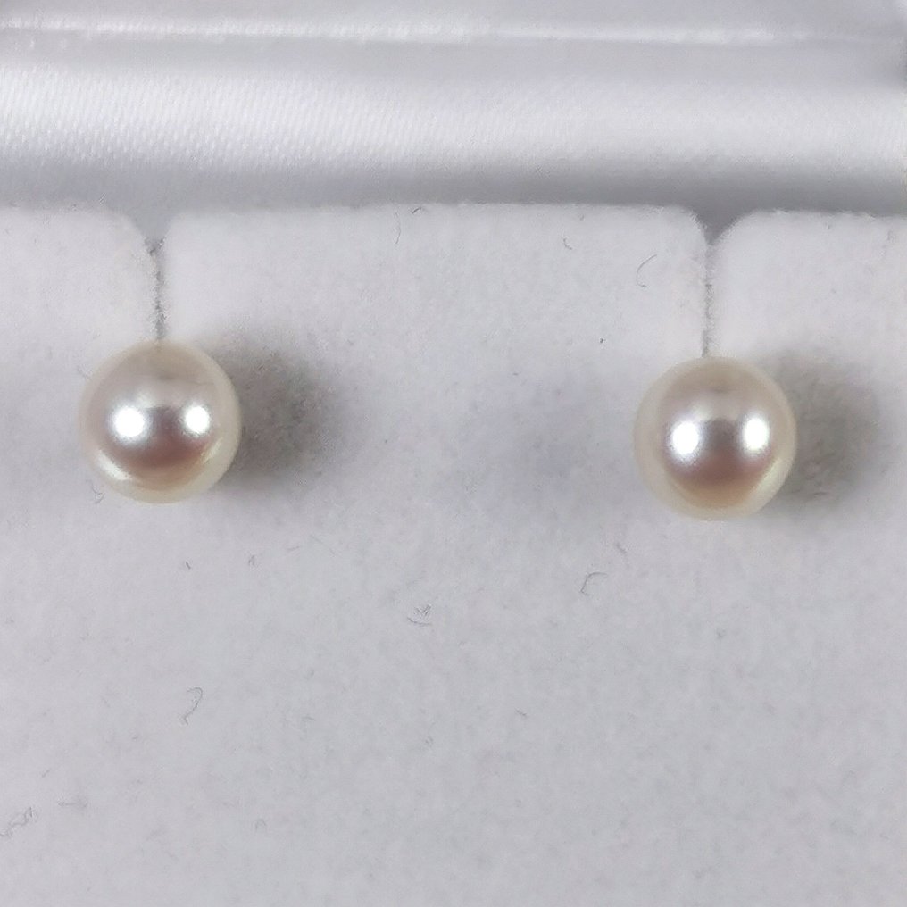 Fără preț de rezervă - Cercei Argint Perlă - Akoya RD Ø 5,7 x 6 mm #4.3