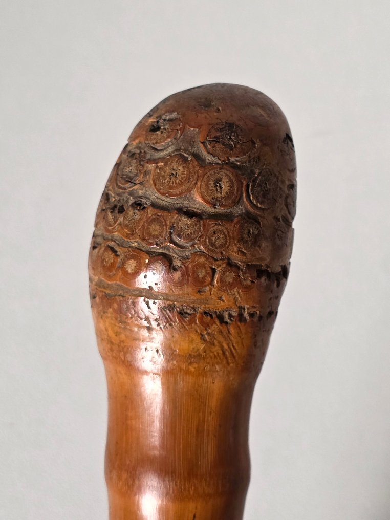 德國 - 竹制后备兵棒 - 德国殖民地胶澳（1898-1914） - 軍用配件 #3.2