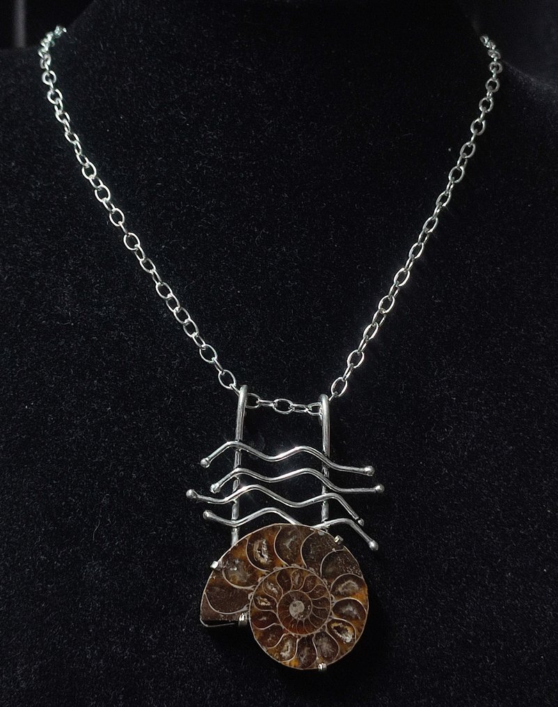 无底价天然美丽的菊石手工925银项链 - 衣领项链 #4.3