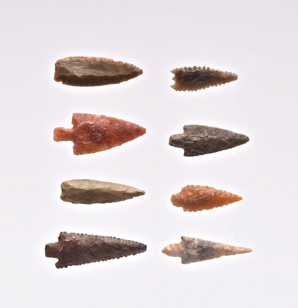 8 νεολιθικά βελάκια πράσινη Jaspis, χαλαζίας, πυριτό Κεφαλή βέλους  (χωρίς τιμή ασφαλείας) #1.0