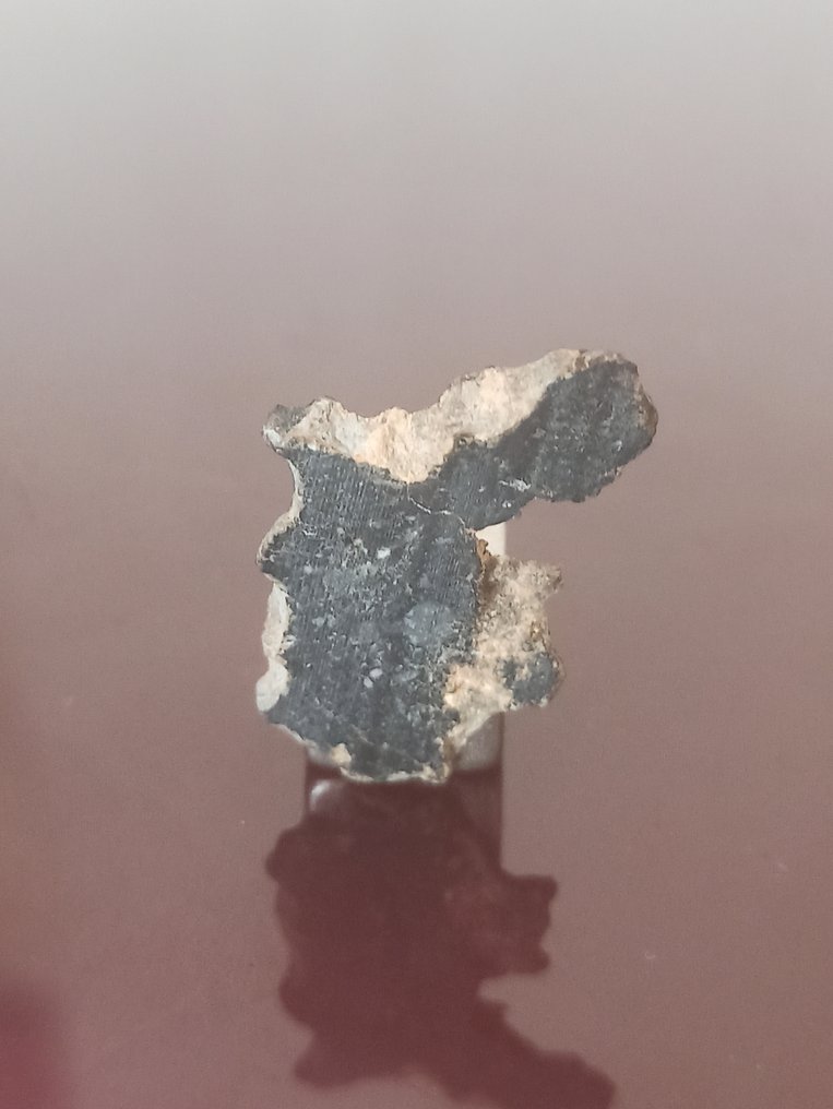 Holdi meteorit darabka. NWA 11273 Nincs tartalék ár!!! - 1.02 g #4.3