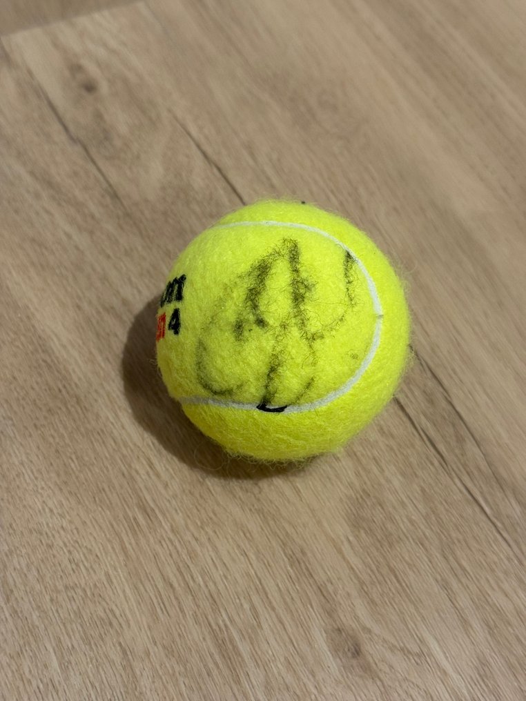 网球 - Alexander «Sascha» Zverev - 网球 #1.0