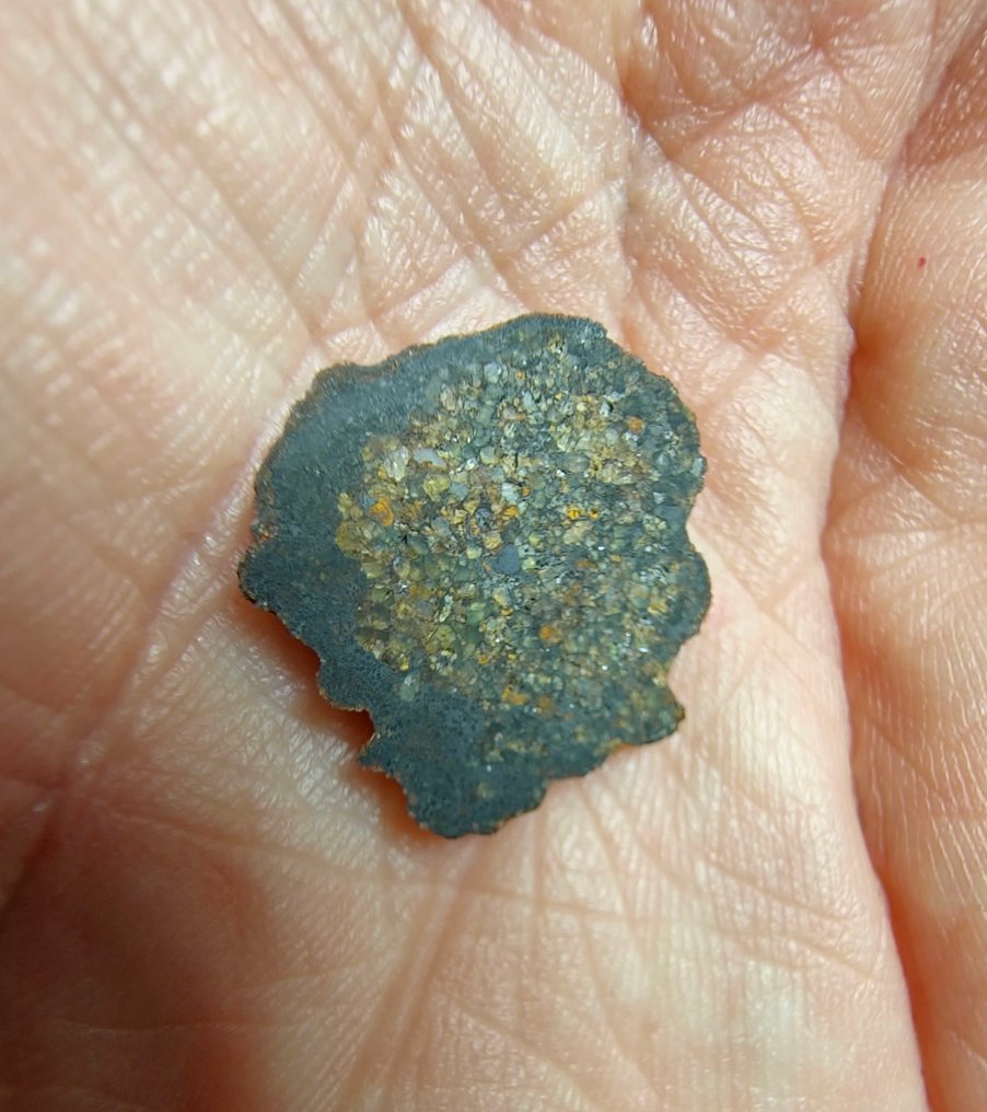 Lodranite Meteorite. NWA 17905. Primitive achondrite - 1.75 g #3.2