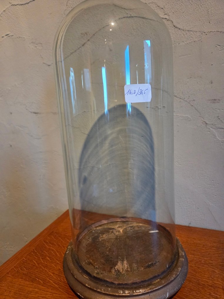 Globe - stolp - antiek - 1901-1920 - Antique round display case with original wooden base, dimensions: height without base approximately #2.1