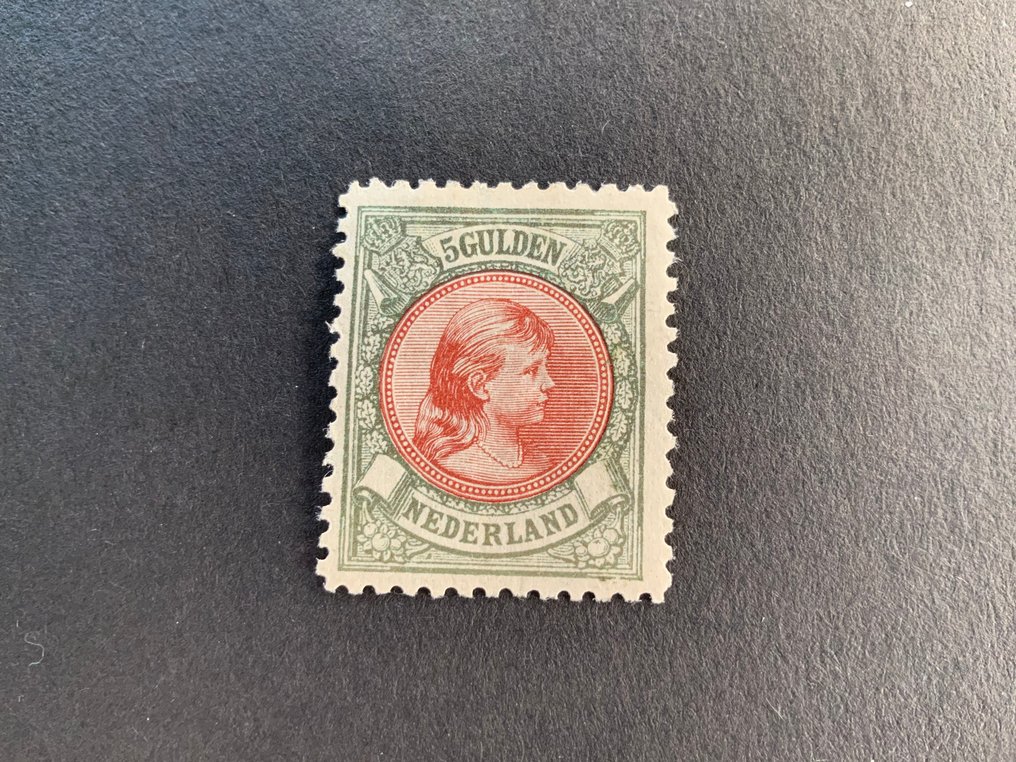 荷兰 1893/1893 - 5 古尔登·威廉敏娜公主，带有板块缺陷 - Mast 48 PM #1.0