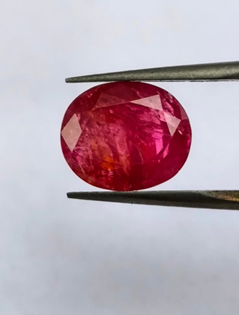 1 pcs  Rubí  - 2.90 ct - Deutsche Stiftung Edelsteinforschung (DSEF) - Rosso #2.1