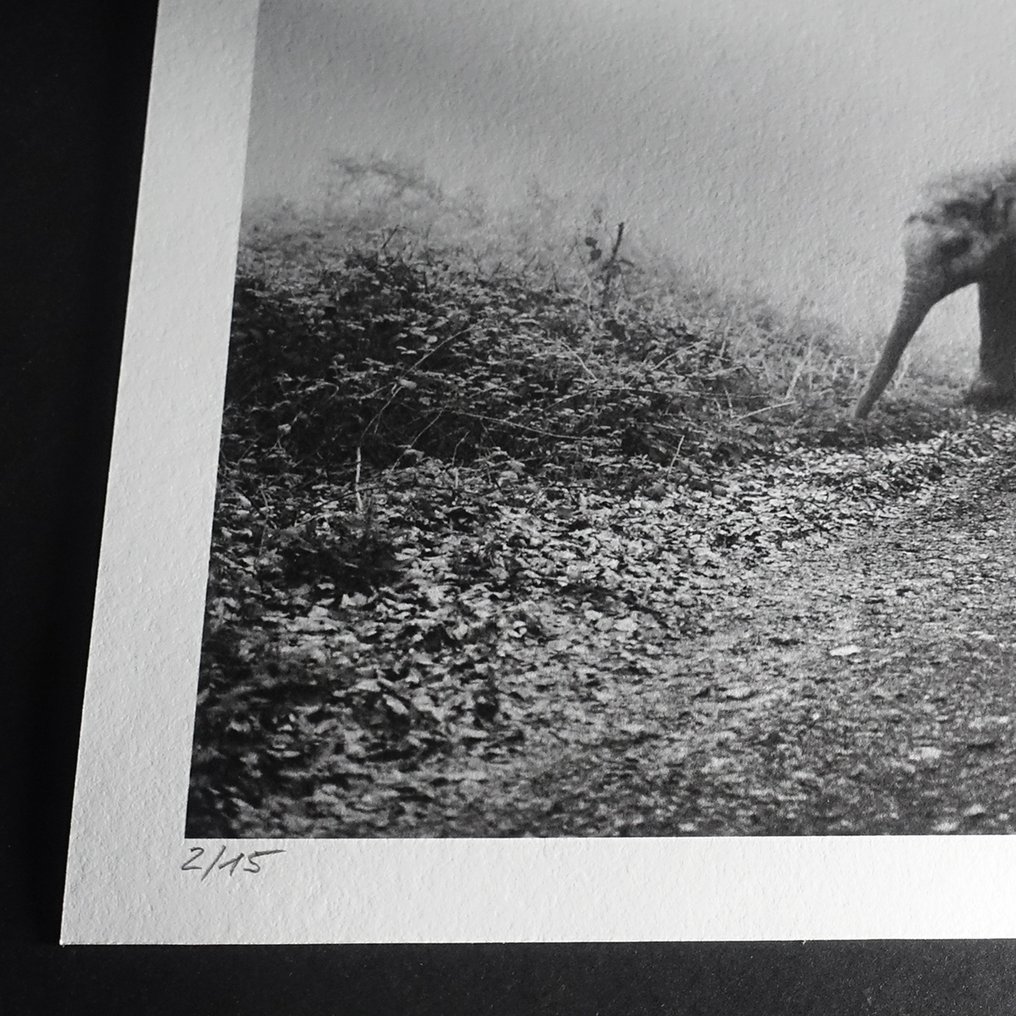 Frank Machalowski - tierwald #43 #3.2