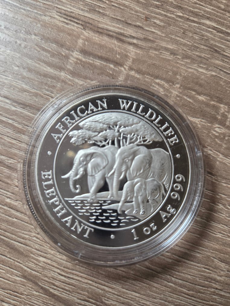 索馬里. 100 Shillings 2013  (沒有保留價) #1.0