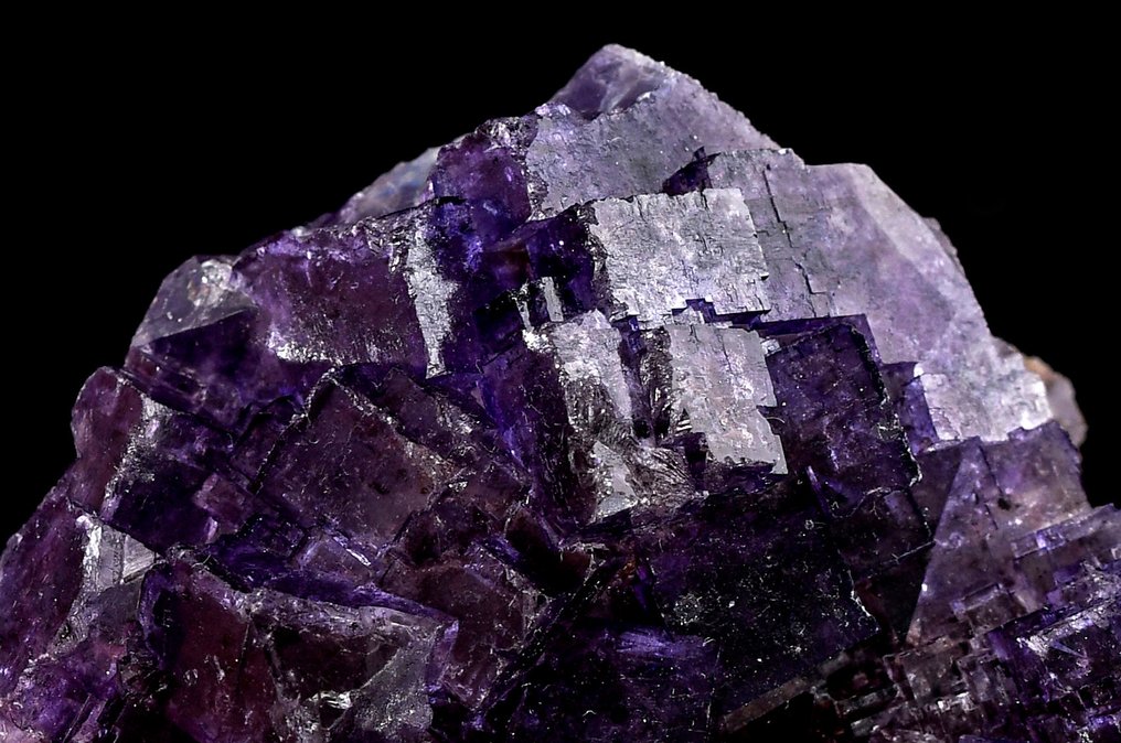 Wonderful deep purple cubic Fluorite from Muzquiz - Mexico - Height: 7.8 cm - Width: 7.4 cm- 300 g #2.1