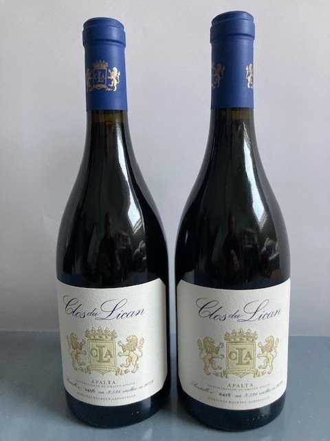 2019 Clos de Lican - Valle Colchagua - 2 Bottiglie (0,75 L) #1.0