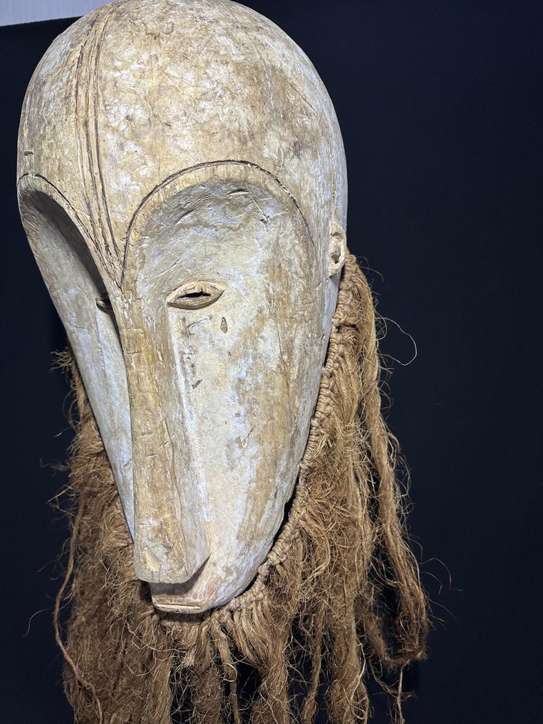 Μάσκα χορού - Fang - Γκαμπόν - Μάσκα Fang Γκαμπόν  (χωρίς τιμή ασφαλείας) #2.1