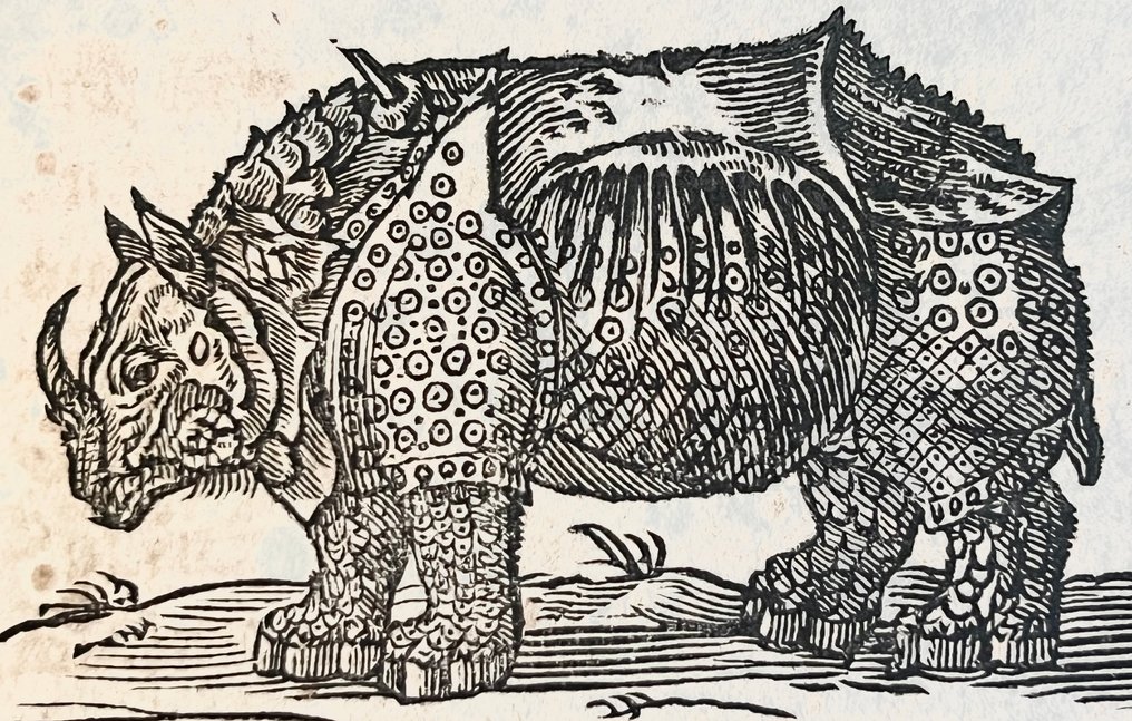 Kircher - Arca Noe - 1675 #4.3